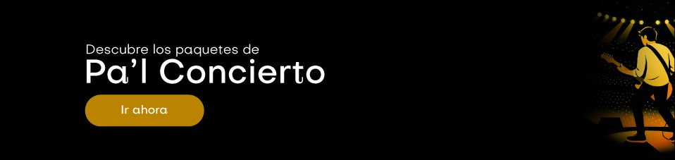 Banner Pal Concierto